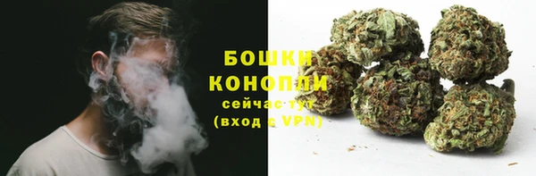 apvp Медногорск
