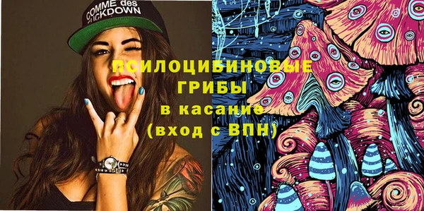 меф Мегион