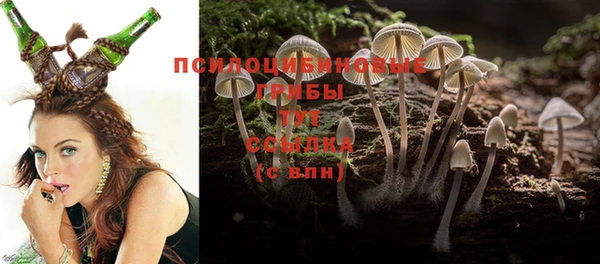 метадон Медвежьегорск