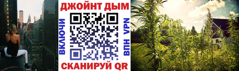сайты даркнета клад  Мичуринск  Конопля AK-47 